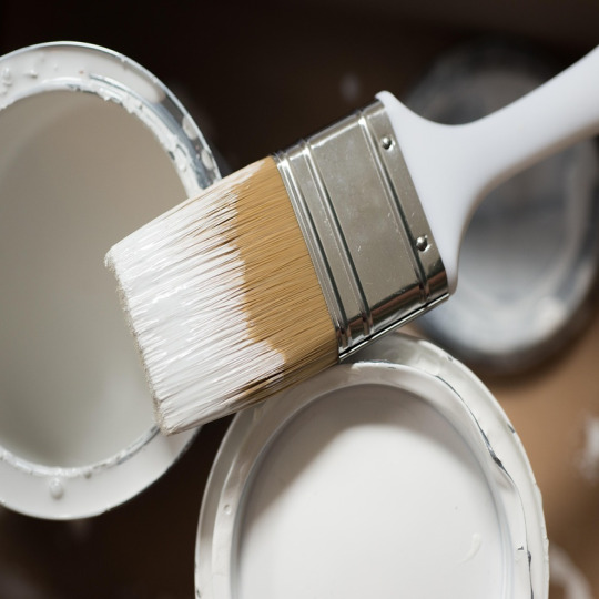 paintbrush renovation